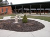 local picture