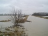 local picture