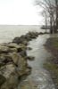 local picture