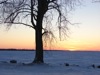 local picture