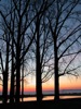 local picture