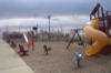 local picture