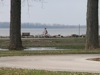 local picture