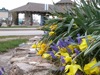 local picture
