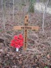 local picture
