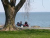 local picture