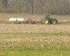 local picture