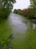 local picture