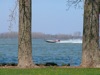 local picture