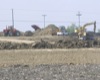 local picture