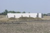 local picture