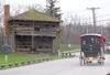 local picture