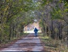 local picture