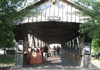 local picture