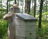 local picture
