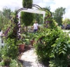 local picture