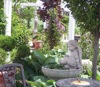 local picture