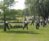 local picture