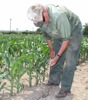 local picture