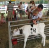 local picture