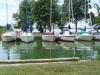 local picture