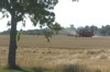 local picture