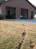 local picture