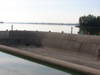 local picture