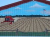 local picture
