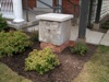 local picture