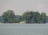 local picture