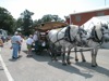 local picture