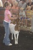 local picture