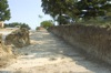 local picture