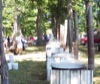local picture