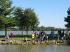 local picture