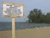 local picture