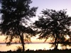 local picture