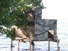 local picture