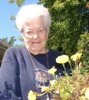local picture