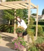 local picture