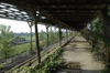 local picture