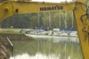 local picture