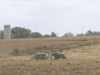 local picture
