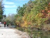 local picture