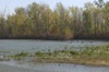 local picture