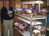 local picture