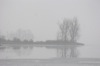 local picture