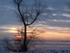 local picture