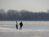 local picture